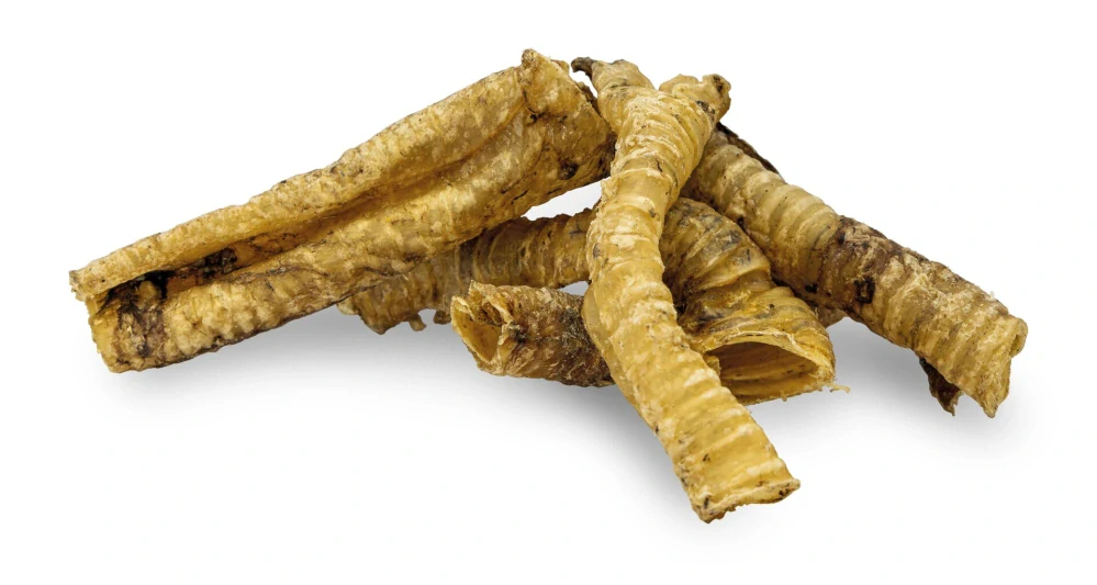 KIDDOG 100% Natural Snack, jehněčí průdušnice (hrtan) 10 - 12 cm / 100 g