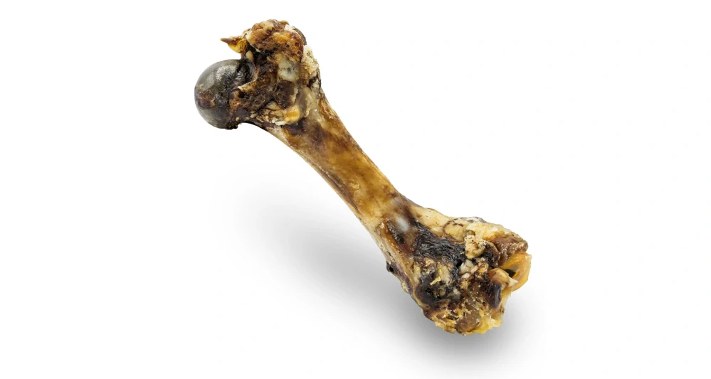 Šunková kost přírodní sušená 20 cm / 280 g