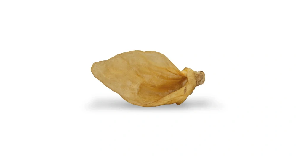 KIDDOG 100% Natural Snack, hovězí ucho přírodní 5 ks / 250 g