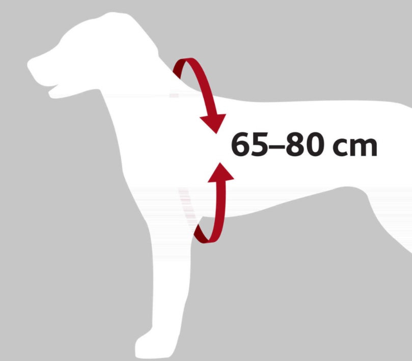 TRIXIE Bezpečnostní postroj do auta L 65-80 cm/23 mm