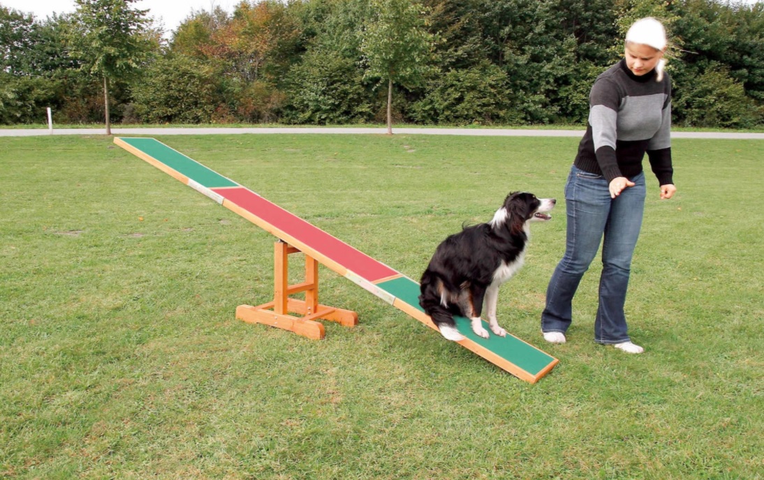 TRIXIE AGILITY houpačka/lávka 300x54x34cm max.do 80kg