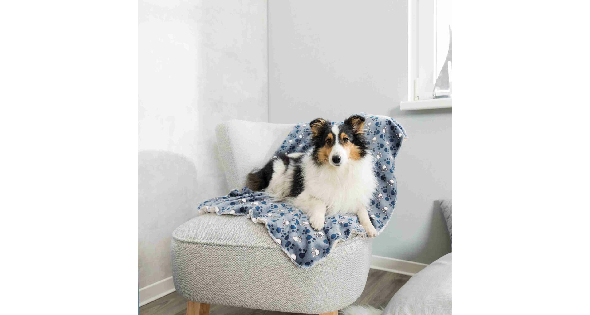 TRIXIE Deka TAMMY jemný plyš/dlouhý plyš, modrá s packami 100 x 70 cm