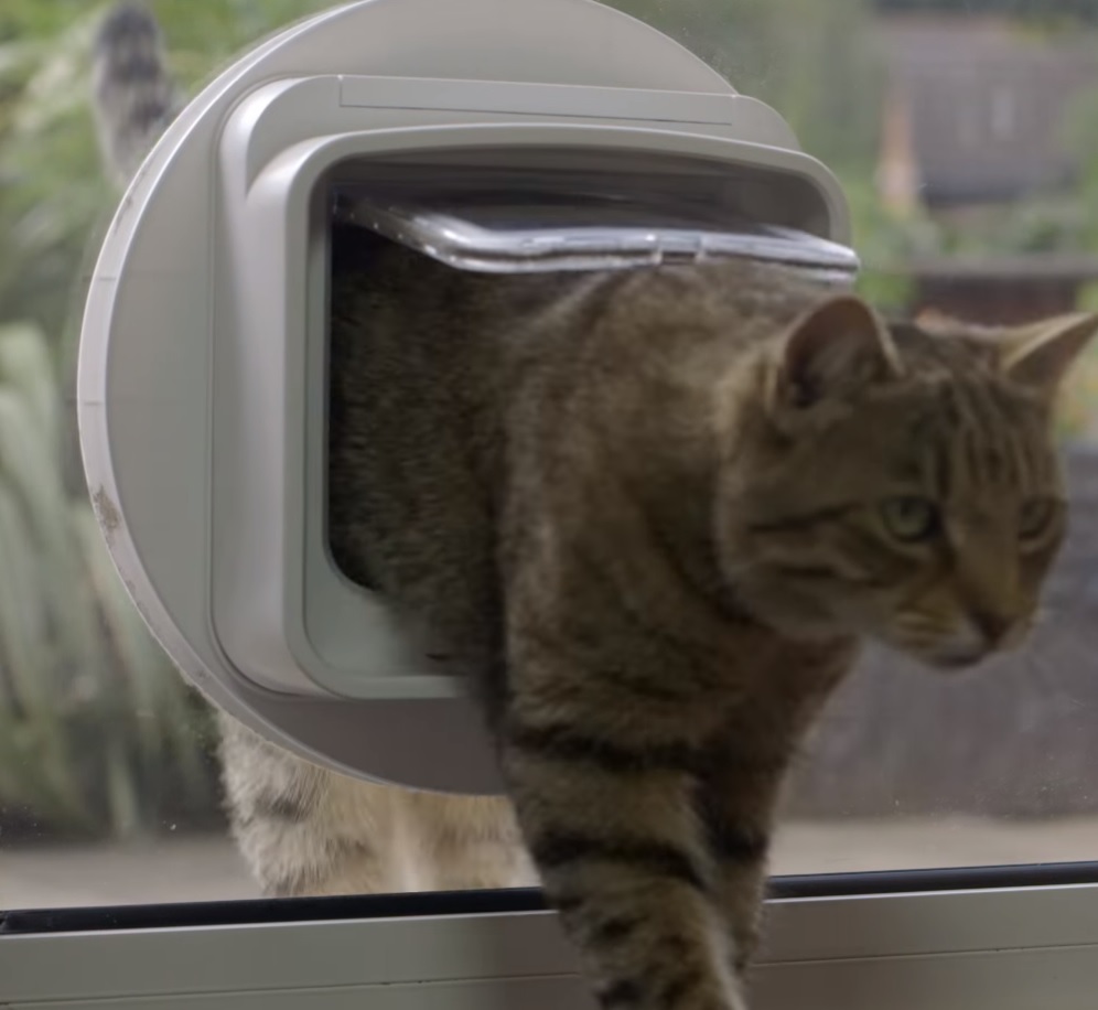 TRIXIE SureFlap 4-cestná dvířka na mikročip 21 x 21 cm - bílé (RP 2,90 Kč)