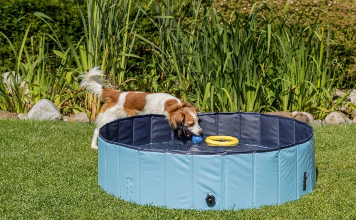 TRIXIE Bazén pro psy 80 x 20 cm světle modrá/modrá