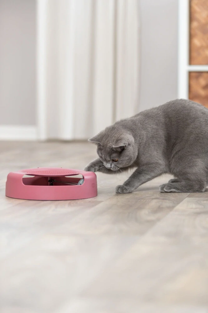 TRIXIE Myš v kruhu se škrábacím kobercem 25x6cm