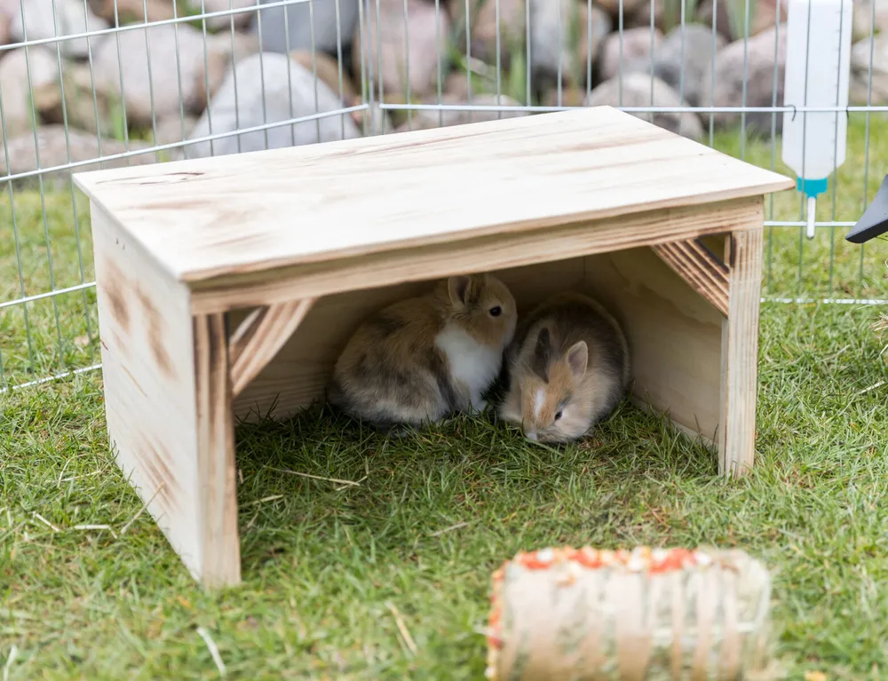 TRIXIE Dřevěný dům pro králíky, opalované dřevo 50 x 26 x 31 cm