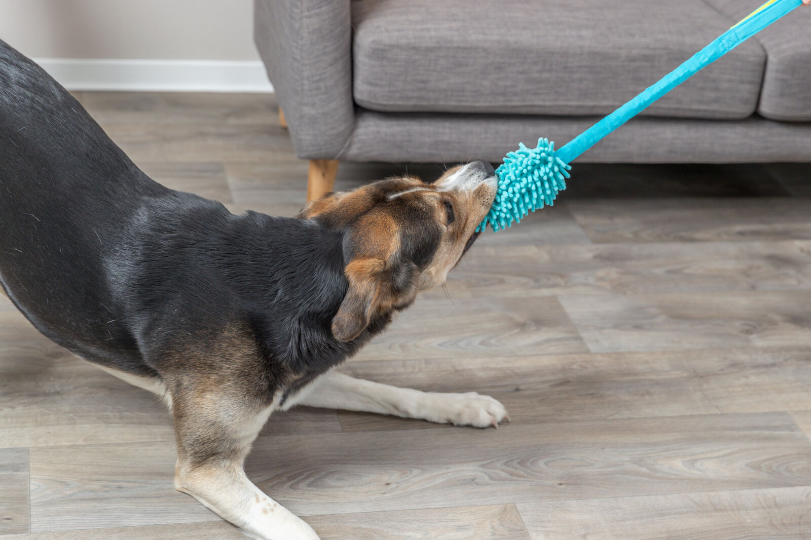 TRIXIE Bungee dummy,přetahovadlo, polyester, 20cm/47cm