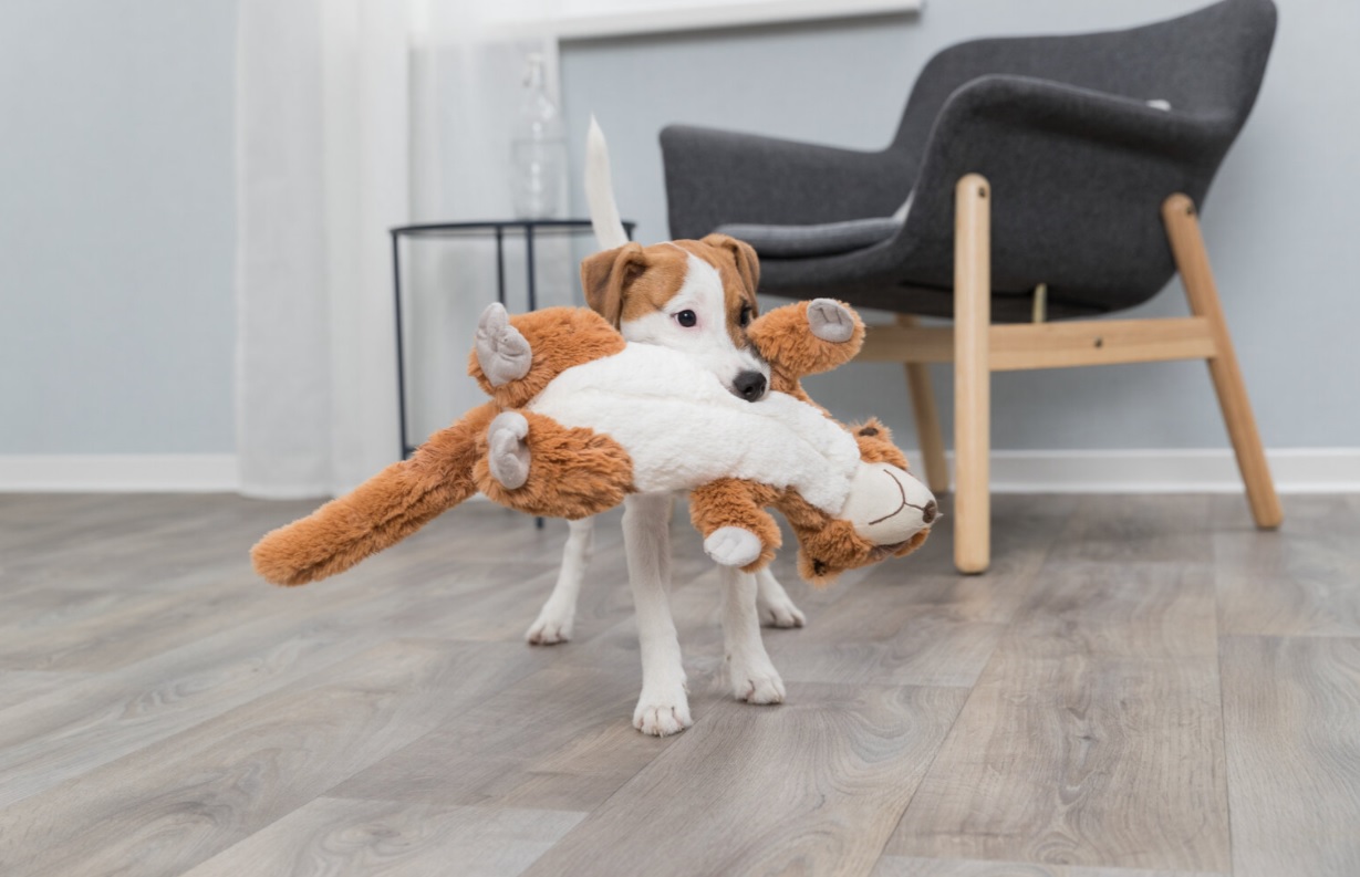 TRIXIE Surikata, plyšová hračka pro psy se zvukem, 40cm