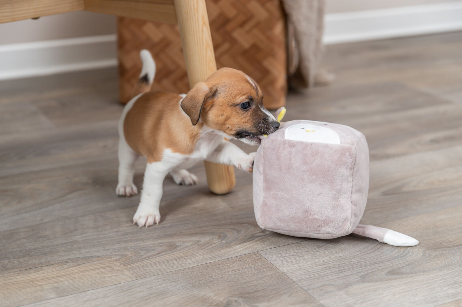 TRIXIE JUNIOR liška - kostka, plyš, 13 cm