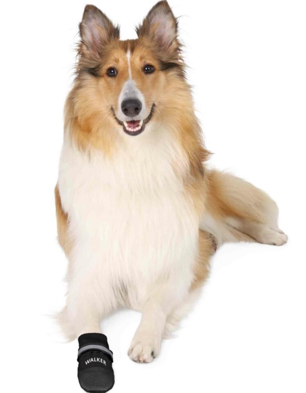 TRIXIE Komfortní ochranné nylonové botičky, 2 ks L: např. Labradorský retrívr