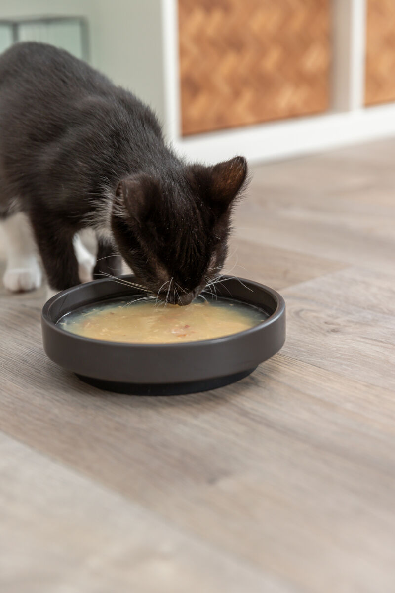 TRIXIE Salmon Soup kuře & losos - tekutý pamlsek pro kočky, 80 g