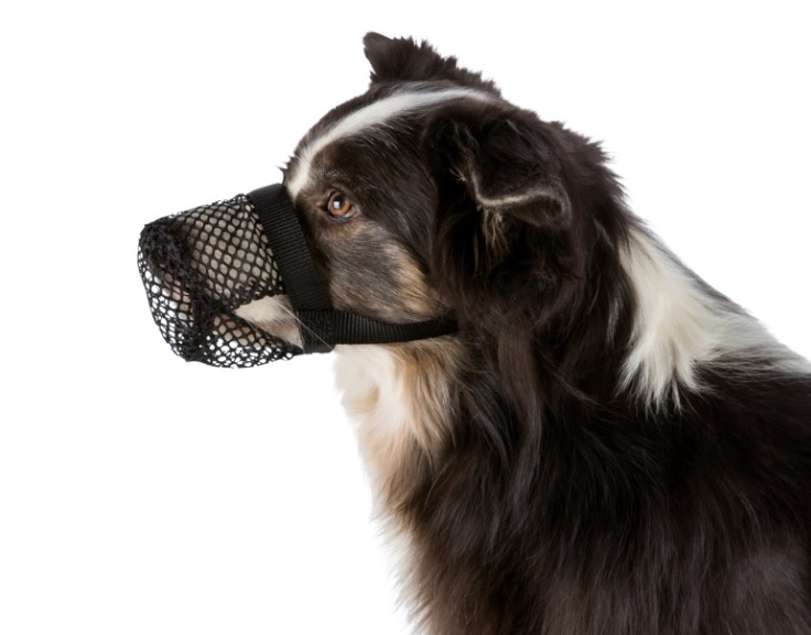 TRIXIE Ochranný náhubek polyester síťka S-M černý, 22 cm