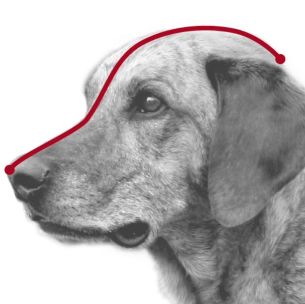 TRIXIE Plastový náhubek M -L 26cm