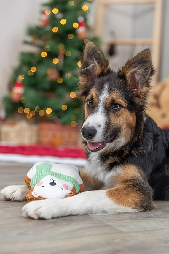 TRIXIE Xmas Bear - medvídek 20 cm, hračka pro psy, se zvukem, plyš