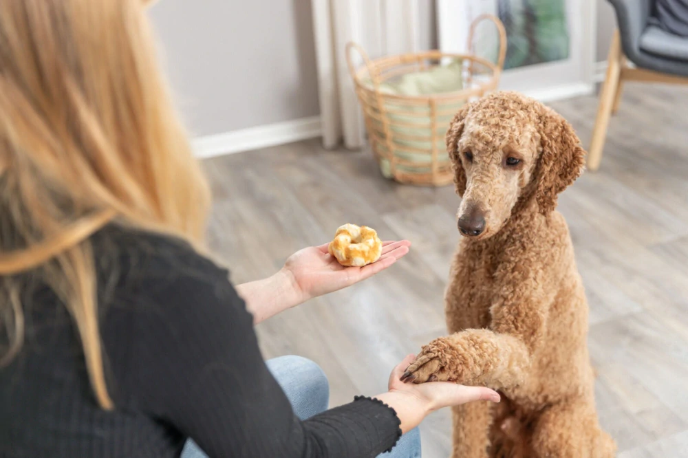 TRIXIE DentaFun Twists, kolagenové věnečky s kuřetem, 2 ks/ 85 g