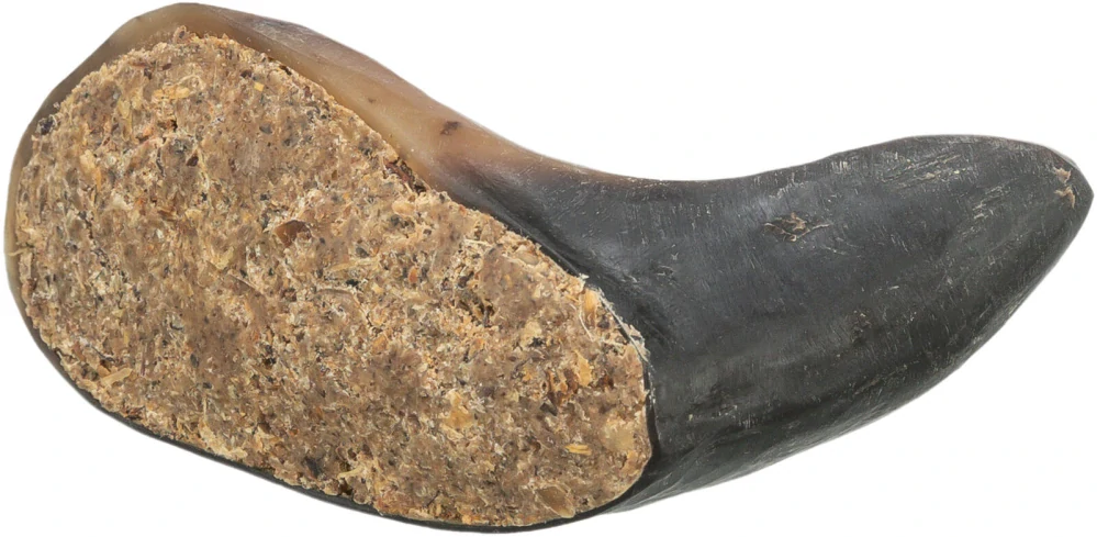 TRIXIE Buffalo Horn, buvolí roh plněný buvolím penisem a šlachou, 10-14 cm