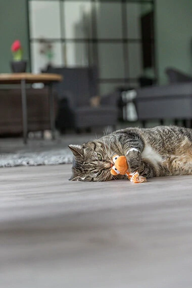 TRIXIE Dráček, plyšová hračka s catnipem,  20 cm, různé barvy