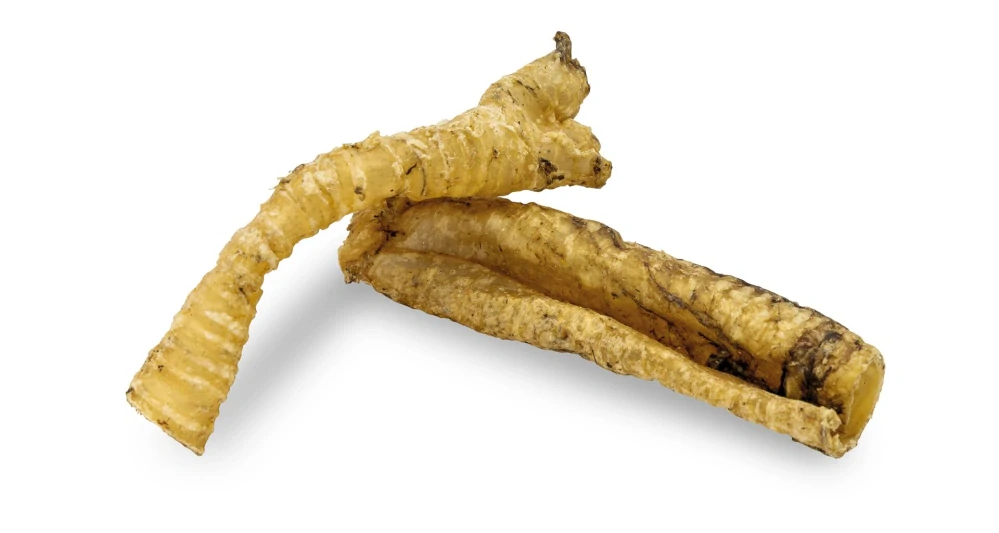 KIDDOG 100% Natural Snack, jehněčí průdušnice (hrtan) 10 - 12 cm / 100 g