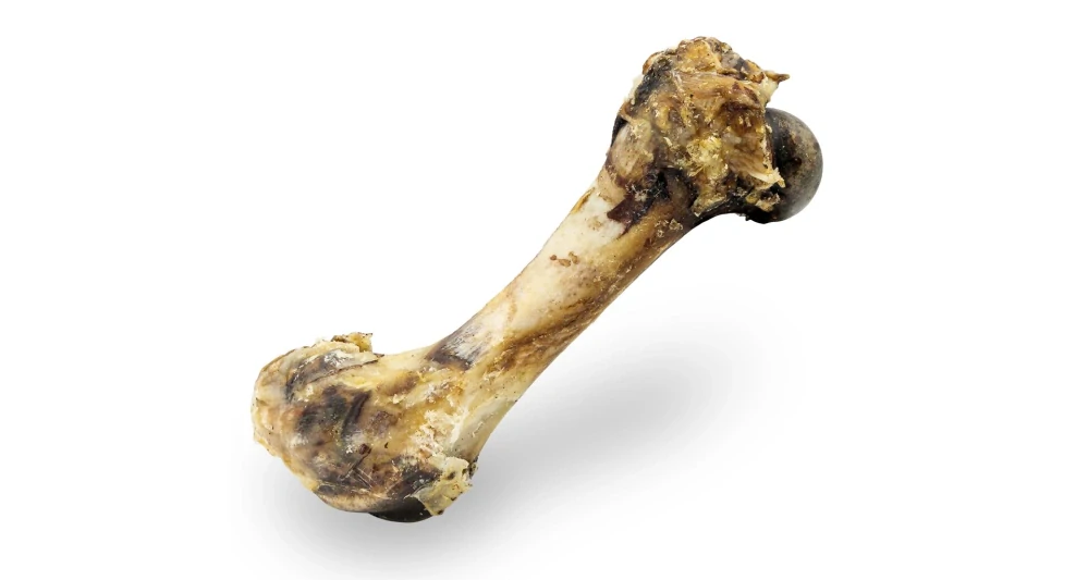 Šunková kost přírodní sušená 20 cm / 280 g