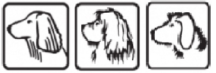 TRIXIE Hrablo dlouhá srst s antiskluzovou rukojetí 10x15cm,zuby 2 cm