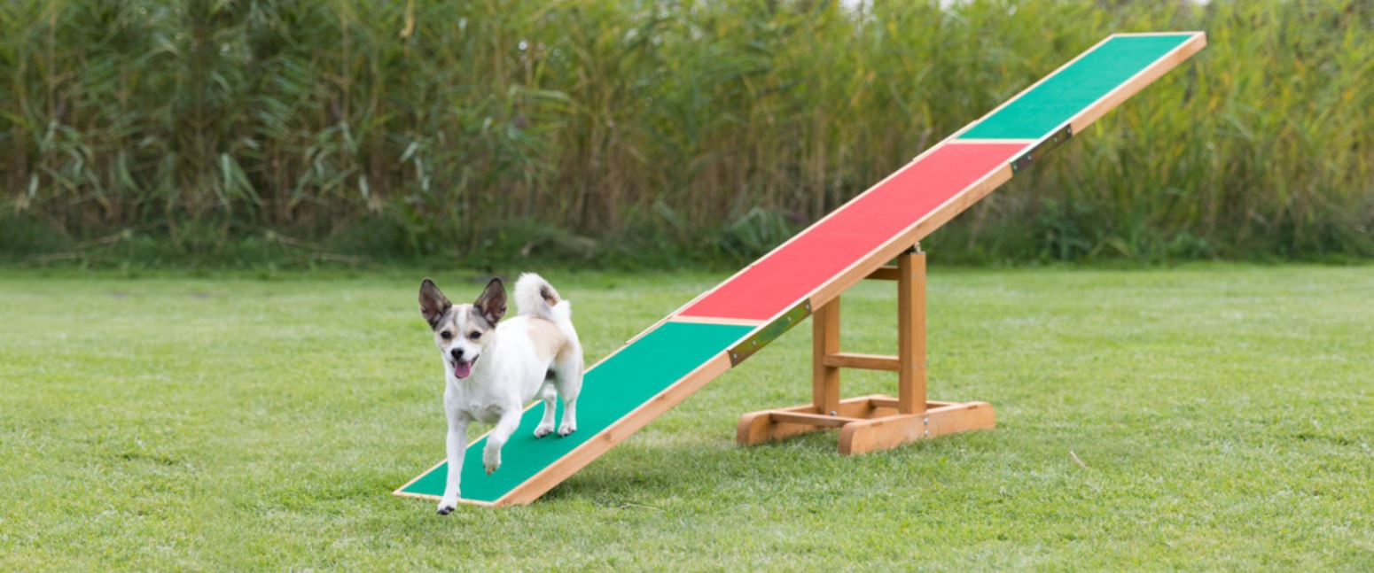 TRIXIE AGILITY houpačka/lávka 300x54x34cm max.do 80kg