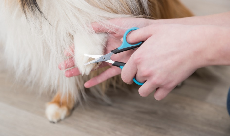 TRIXIE Nůžtičky malé na čumák a packy,  8 cm