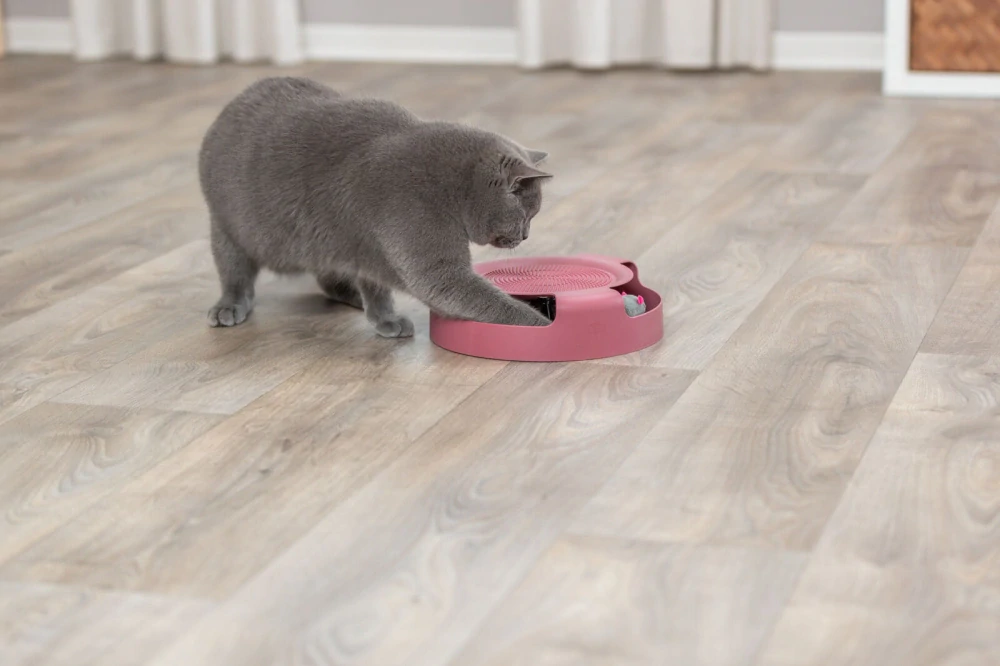 TRIXIE Myš v kruhu se škrábacím kobercem 25x6cm