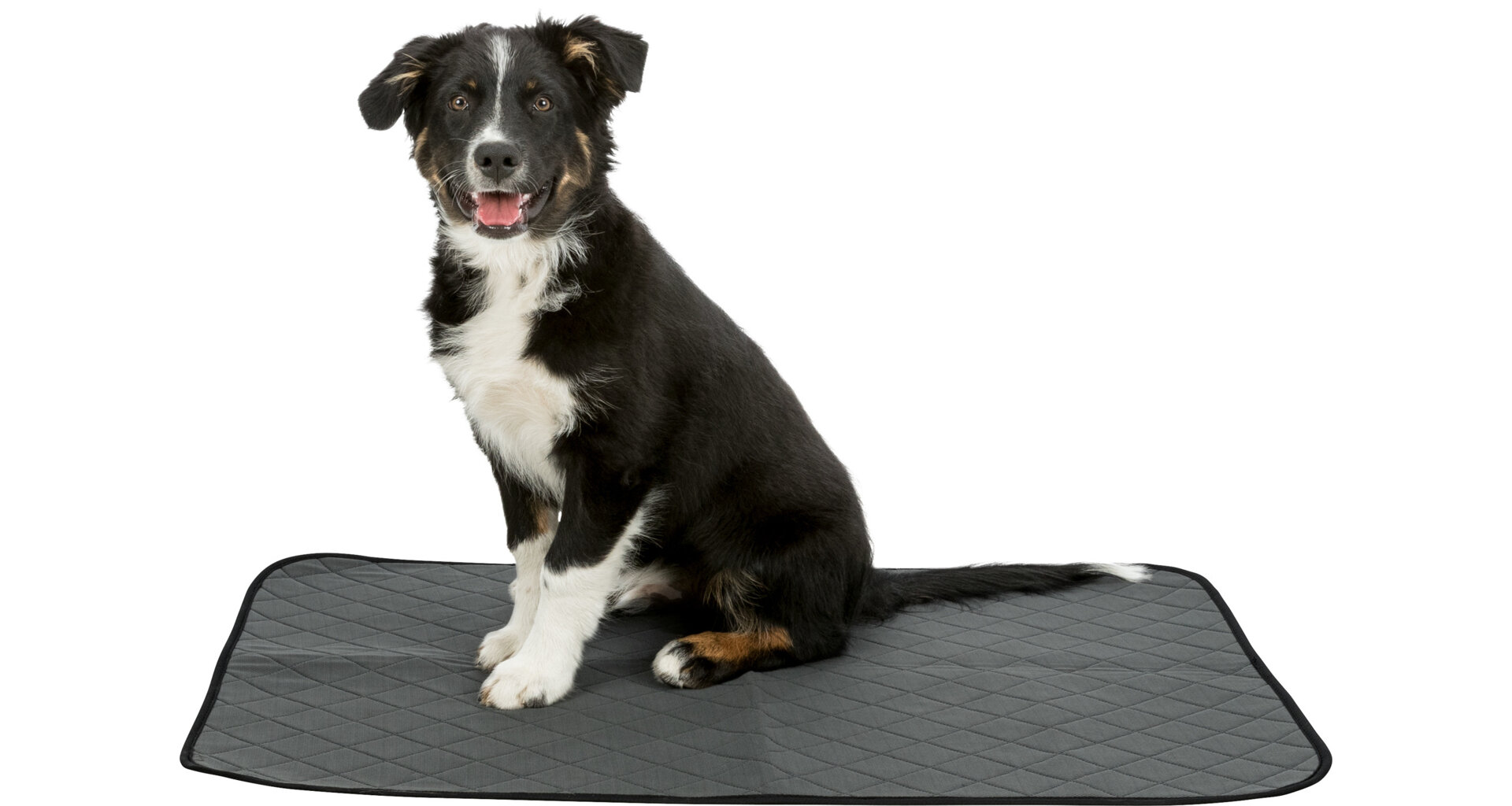 TRIXIE Podložka pro štěňata, omyvatelná, šedá 60 x 60 cm