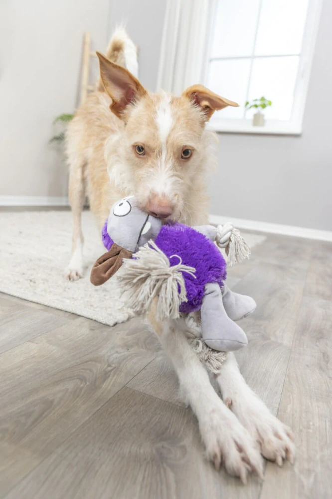 TRIXIE MONSTER I. - plyšová příšerka s vnitřním lanem, se zvukem, 32 cm, fialová