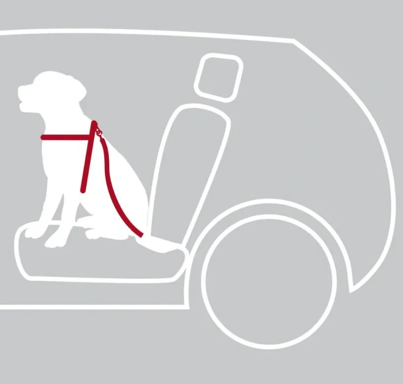 TRIXIE Postroj do auta pro psa XS: 20-50 cm/15 mm, např. jorkšírský teriér