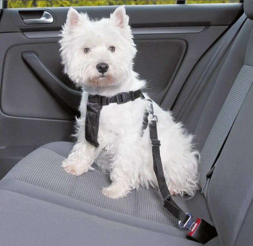 TRIXIE Postroj do auta pro psa S: 30-60 cm/20 mm, např. white teriér