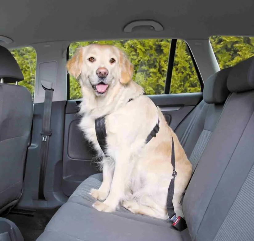 TRIXIE Postroj do auta pro psa L: 70-90 cm/25 cm, např. zlatý retrívr