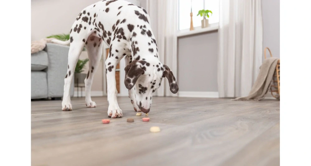 TRIXIE Vegan Cookie Loops, sušenkové kroužky, 1.3 kg