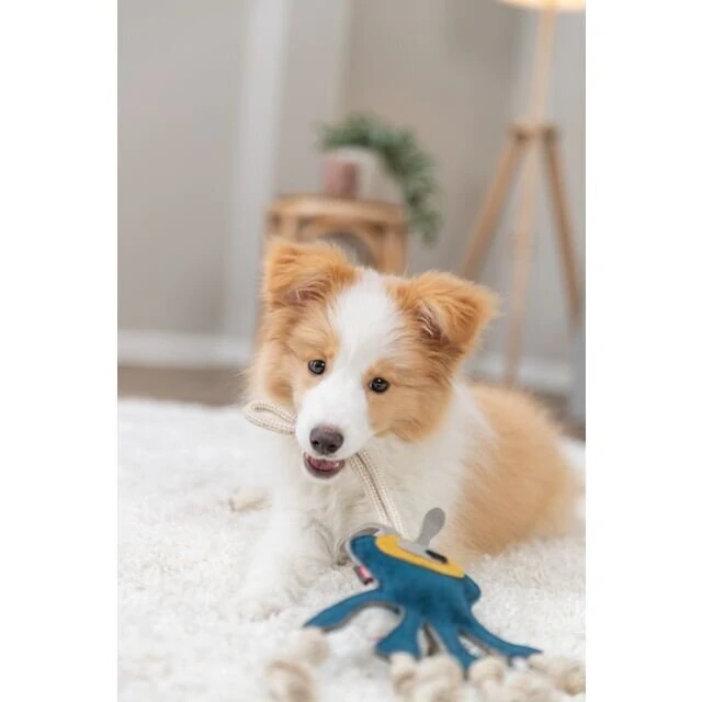 TRIXIE Monster - příšerka na laně, 47 cm, hračka pro psy,  100% pravá kůže/lano, petrolejová