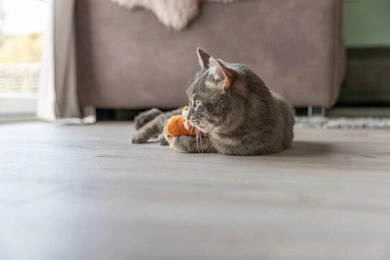 TRIXIE Dráček, plyšová hračka s catnipem,  20 cm, různé barvy