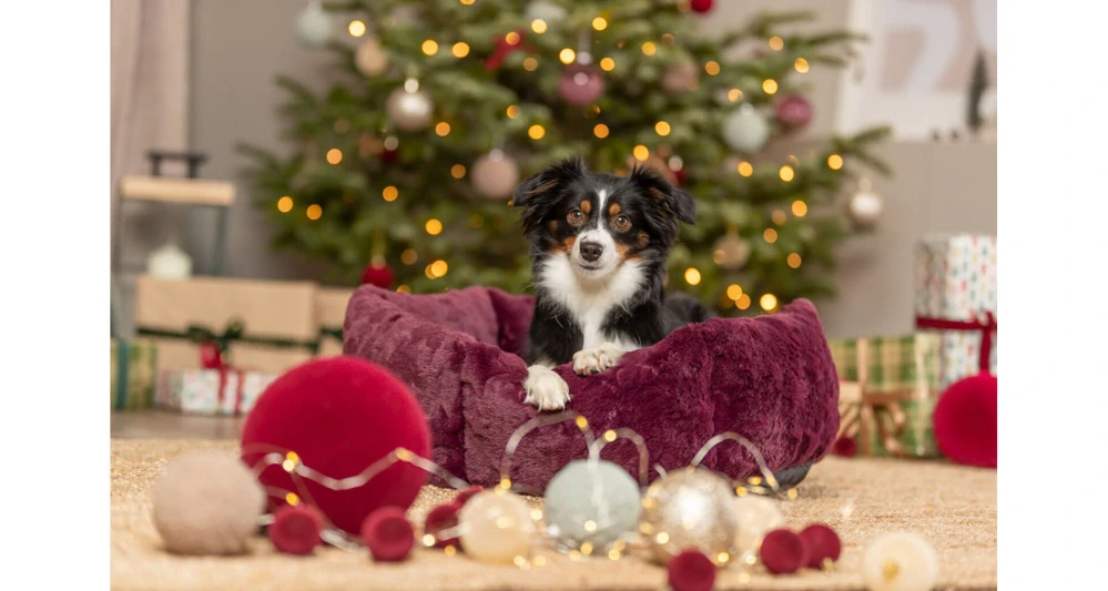 TRIXIE Xmas Bed Stars, vánoční kulatý pelech s okrajem, bordó ø 60 cm
