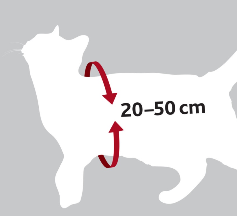 TRIXIE Postroj do auta pro kočku 20-50cm