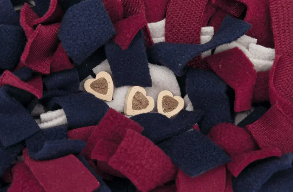 TRIXIE Dog Activity SNIFFING CARPET čichací koberec 50 x 34 cm