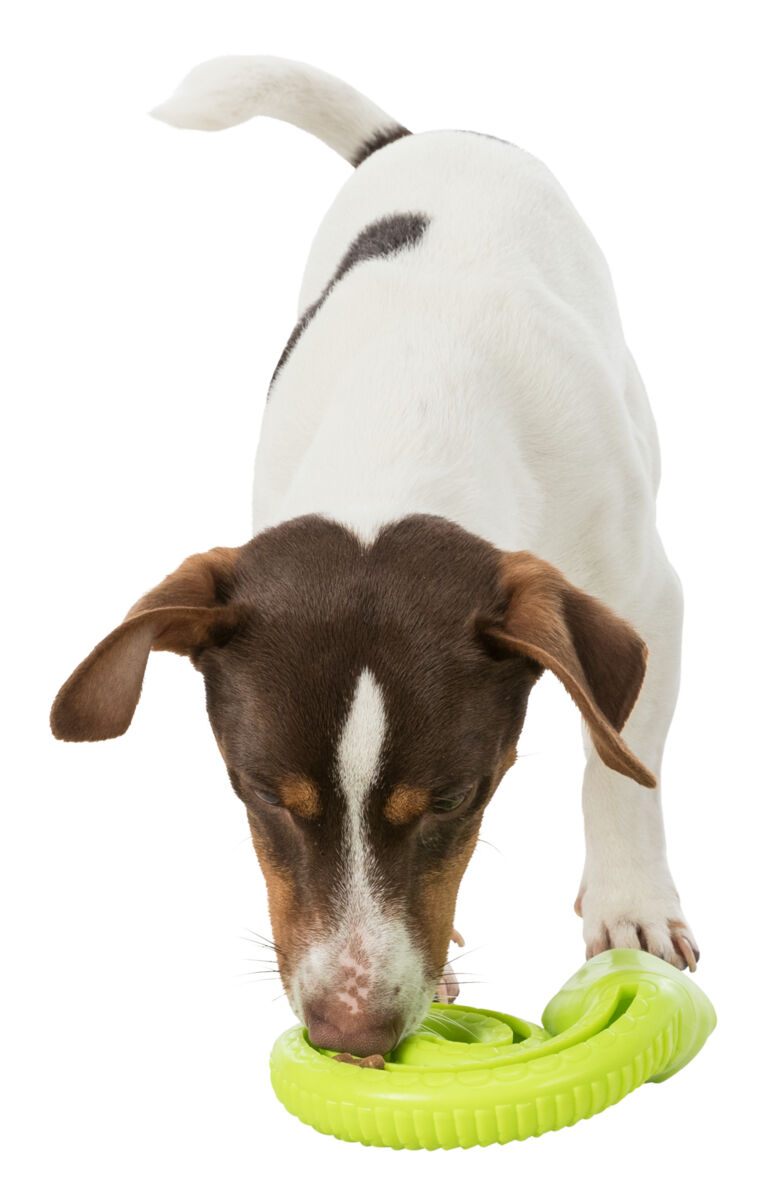 TRIXIE Snack Snake, had na pamlsky, TPR, 18 cm, zelená