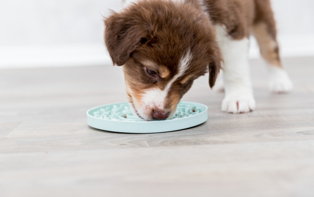 TRIXIE JUNIOR lízací talířek na pamlsky/paštiky 15 cm