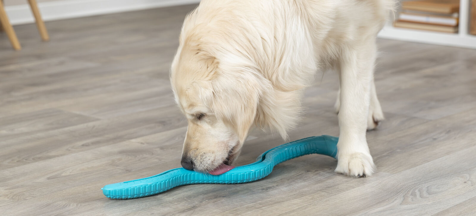 TRIXIE Snack Snake, had na pamlsky, TPR, 59 cm, petrolejová