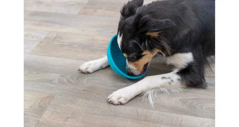 TRIXIE Lick’n'Snack miska k pomalému krmení 16 cm, silikon, petrolejová