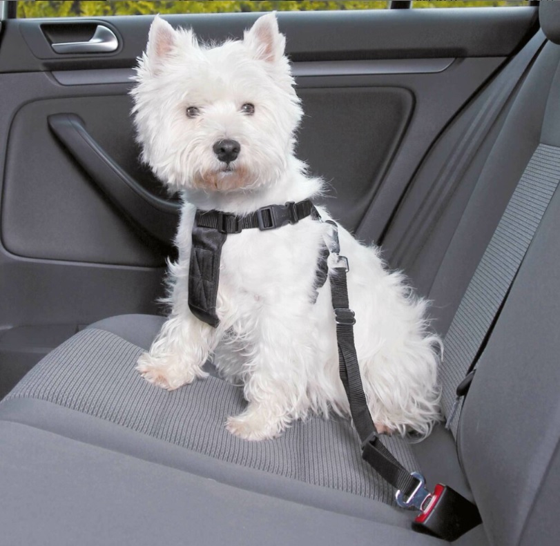 TRIXIE Postroj do auta pro psa XS: 20-50 cm/15 mm, např. jorkšírský teriér