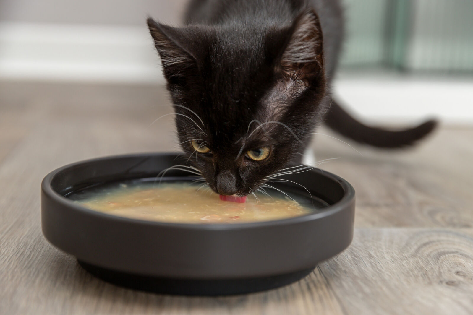 TRIXIE Salmon Soup kuře & losos - tekutý pamlsek pro kočky, 80 g