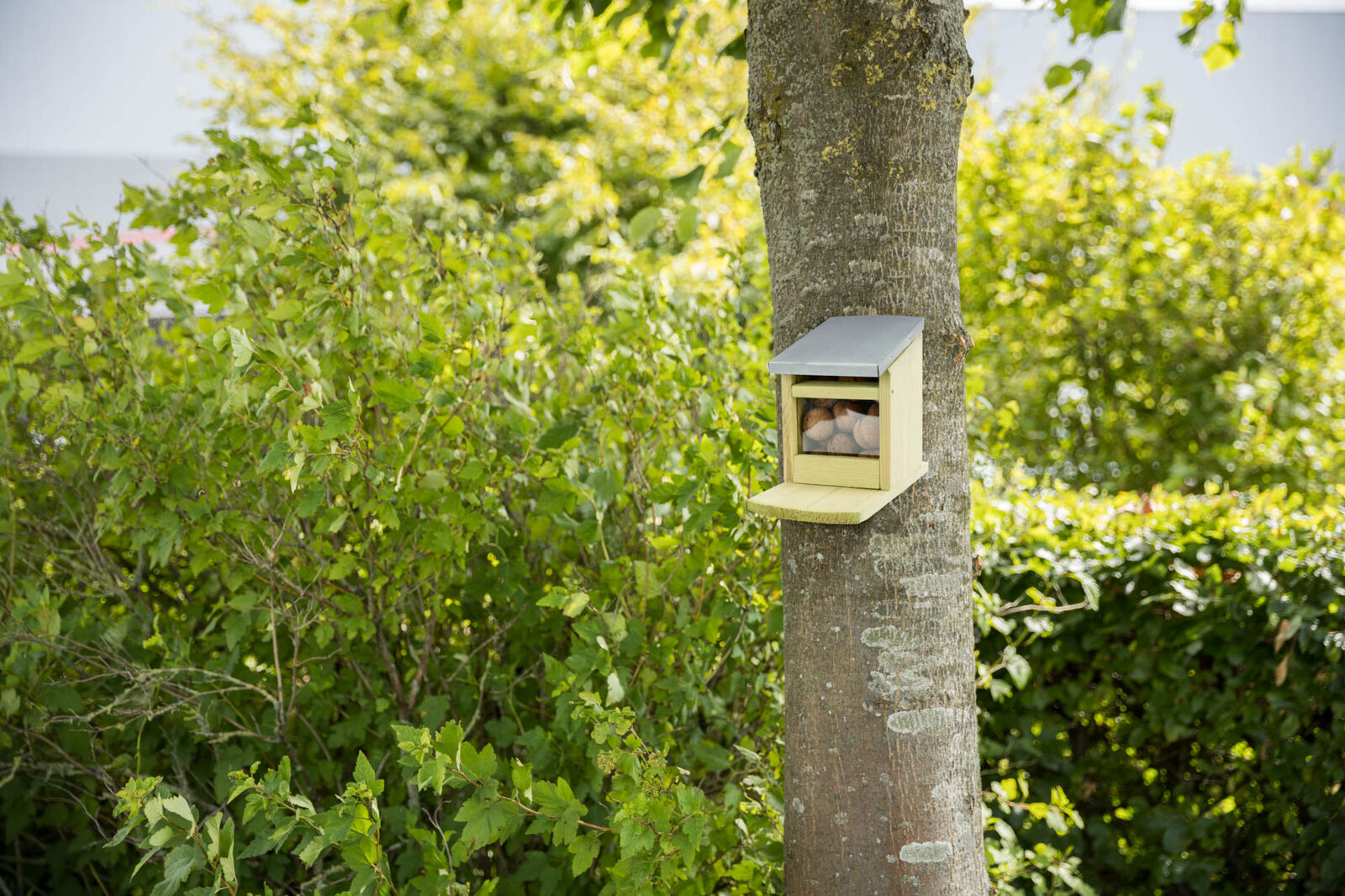 TRIXIE Krmná stanice pro veverky 12 x18 x 24 cm, přírodní borové dřevo/kov