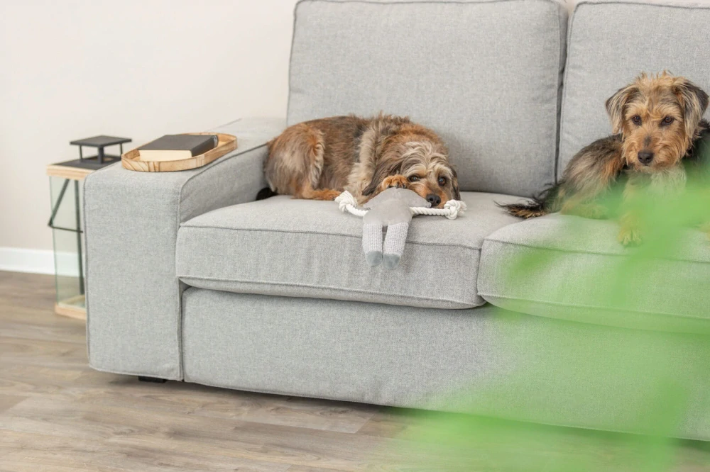 TRIXIE Mýval s lanem, hračka se zvukem, 33 cm, plyš/tkanina/lano