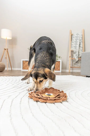 TRIXIE DOG ACTIVITY lev, šustící koberec na pamlsky, ø 26 cm, polyester, hnědá