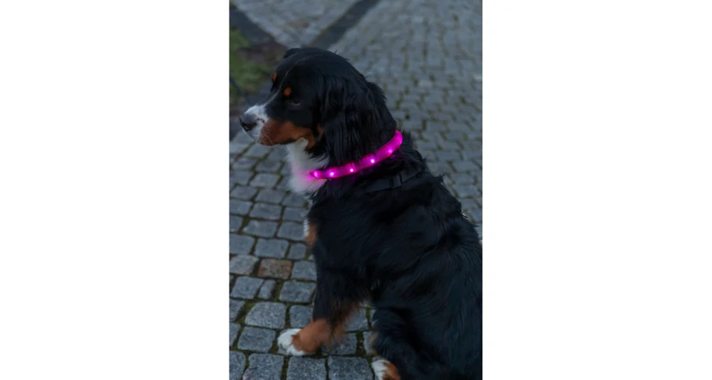 TRIXIE USB svítící obojek PLOCHÝ, růžový L-XL: 70 cm/30 mm