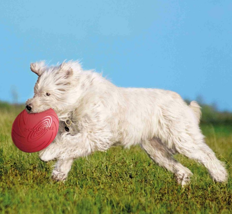 TRIXIE Létající disk přírodní guma velký 24cm