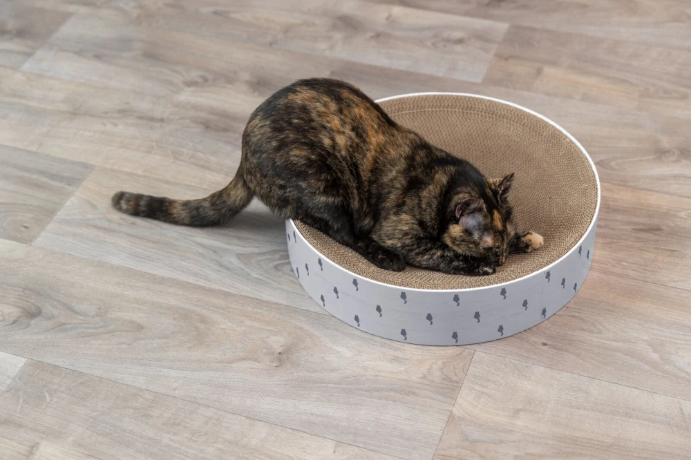 LILLY kulatý škrabací pelech s katnipem, ø 45 × 10 cm, karton, lila